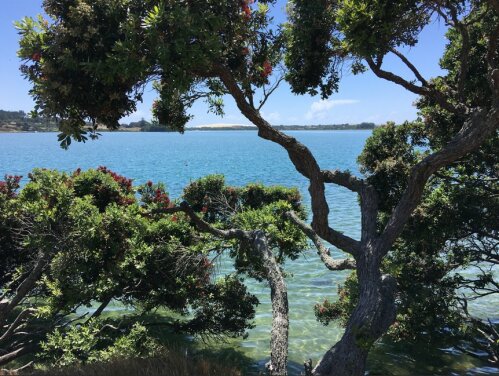 Kaipara reaffirms opposition to Head Start proposal and backs alternative reform model
